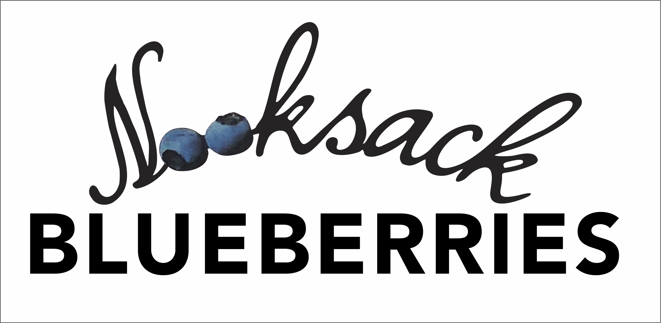 Nooksack Blueberries